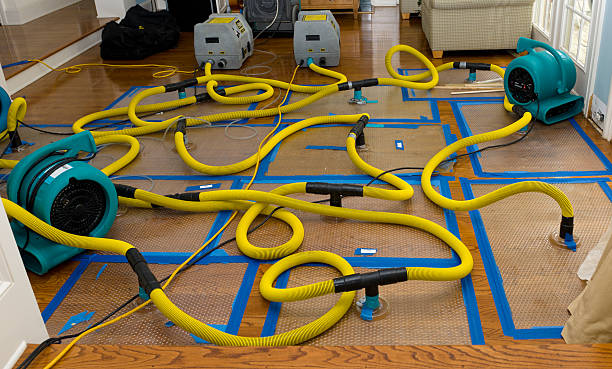 Professional Burst Pipe Water Damage technician working in Villanova, PA